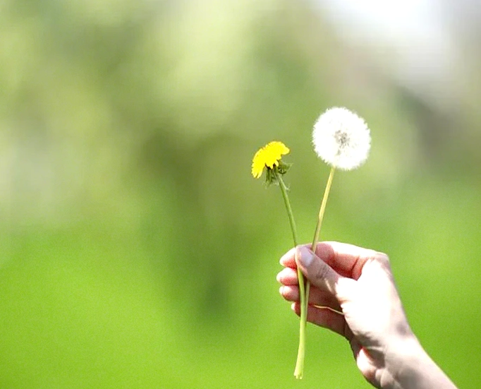 拥抱生活的30条励志语录：心怀美好，万物皆可期